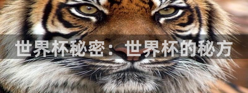 男足世界杯预选赛赛程:世界杯秘密:世界杯的秘方