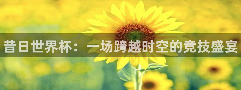 2026足球世界杯赛程时间表:昔日世界杯:一场跨越时空的竞技盛宴