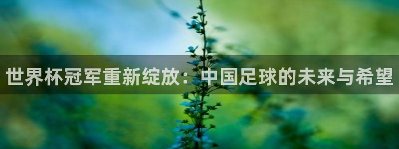 世界直播:世界杯冠军重新绽放:中国足球的未来与希望