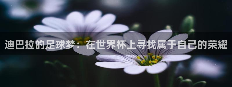 2026世界杯:迪巴拉的足球梦:在世界杯上寻找属于自己的荣耀