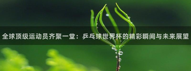 欧洲世预赛赛程表:全球顶级运动员齐聚一堂:乒乓球世界杯的精彩瞬间与未来展望