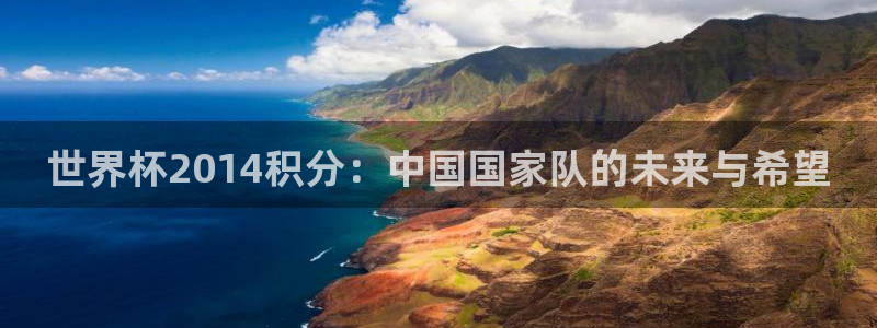 2026世界杯亚洲预选赛:世界杯2014积分:中国国家队的未来与希望