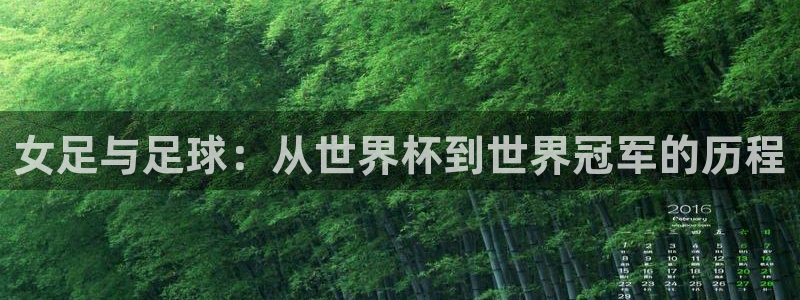 亚洲杯足球:女足与足球:从世界杯到世界冠军的历程